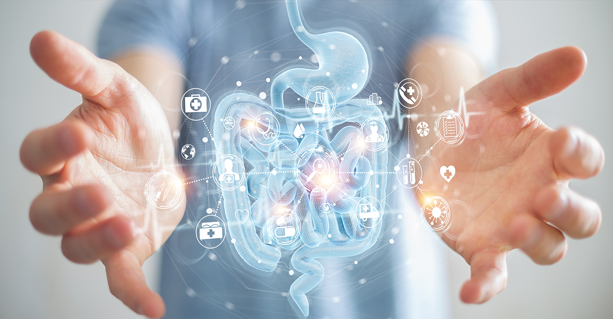 How to Heal Gut Microbiome Activity with Berberine