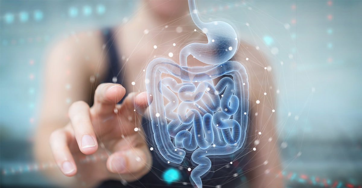 4 Key Benefits and Potential Side Effects of Berberine