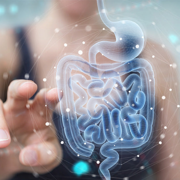 4 Key Benefits and Potential Side Effects of Berberine