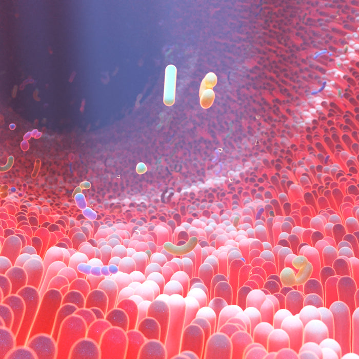 Heal Leaky Gut