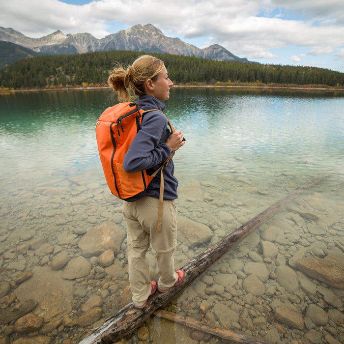 The Methylation Cycle And Active Methyl B-12 and Methyl Folate