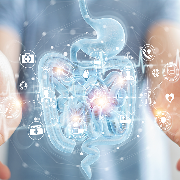 How to Heal Gut Microbiome Activity with Berberine