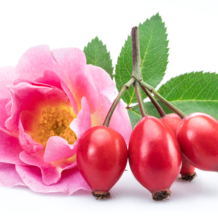 Vitamin C and Rose Hip Oil Benefits for Wound Healing