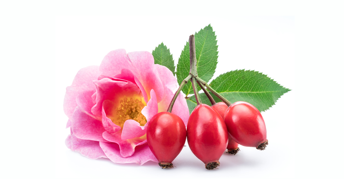 Vitamin C and Rose Hip Oil Benefits for Wound Healing