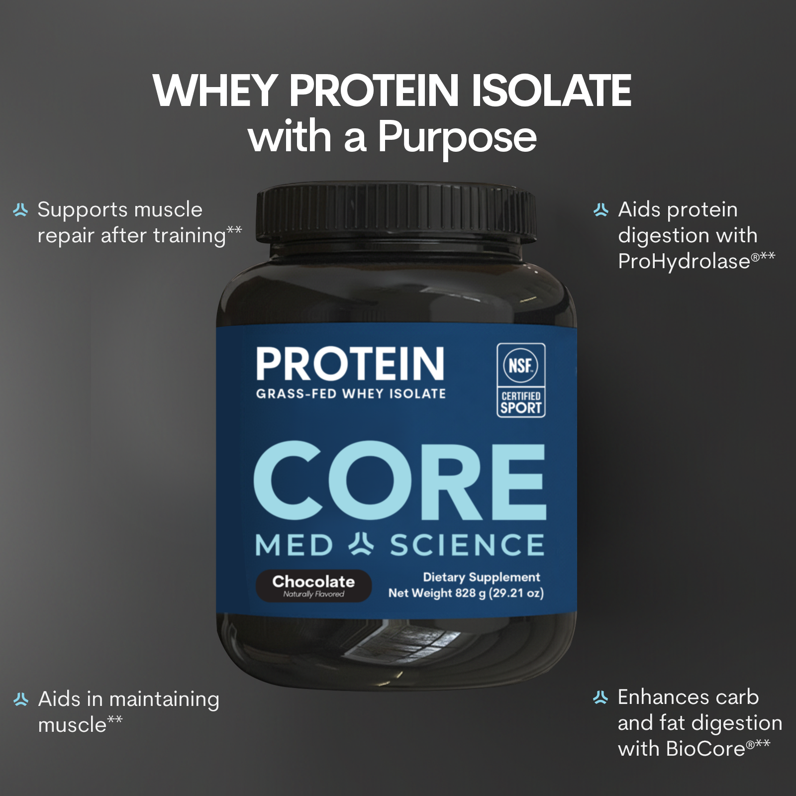 Whey Protein Isolate Chocolate