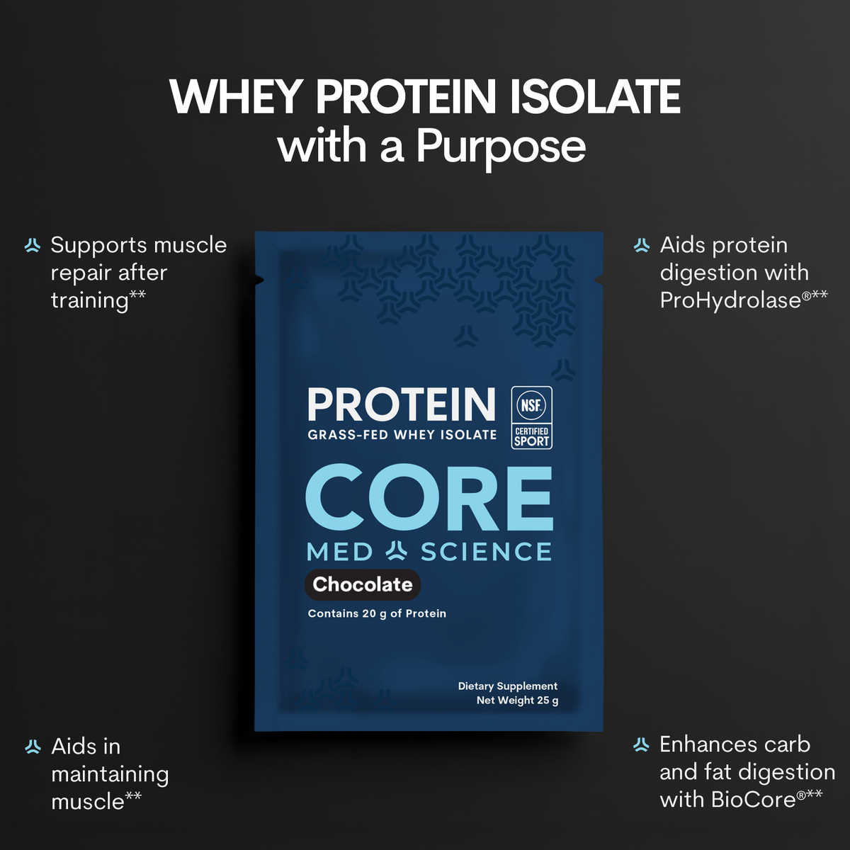 Whey Protein Isolate Chocolate - 12 Single-Serve Pouches