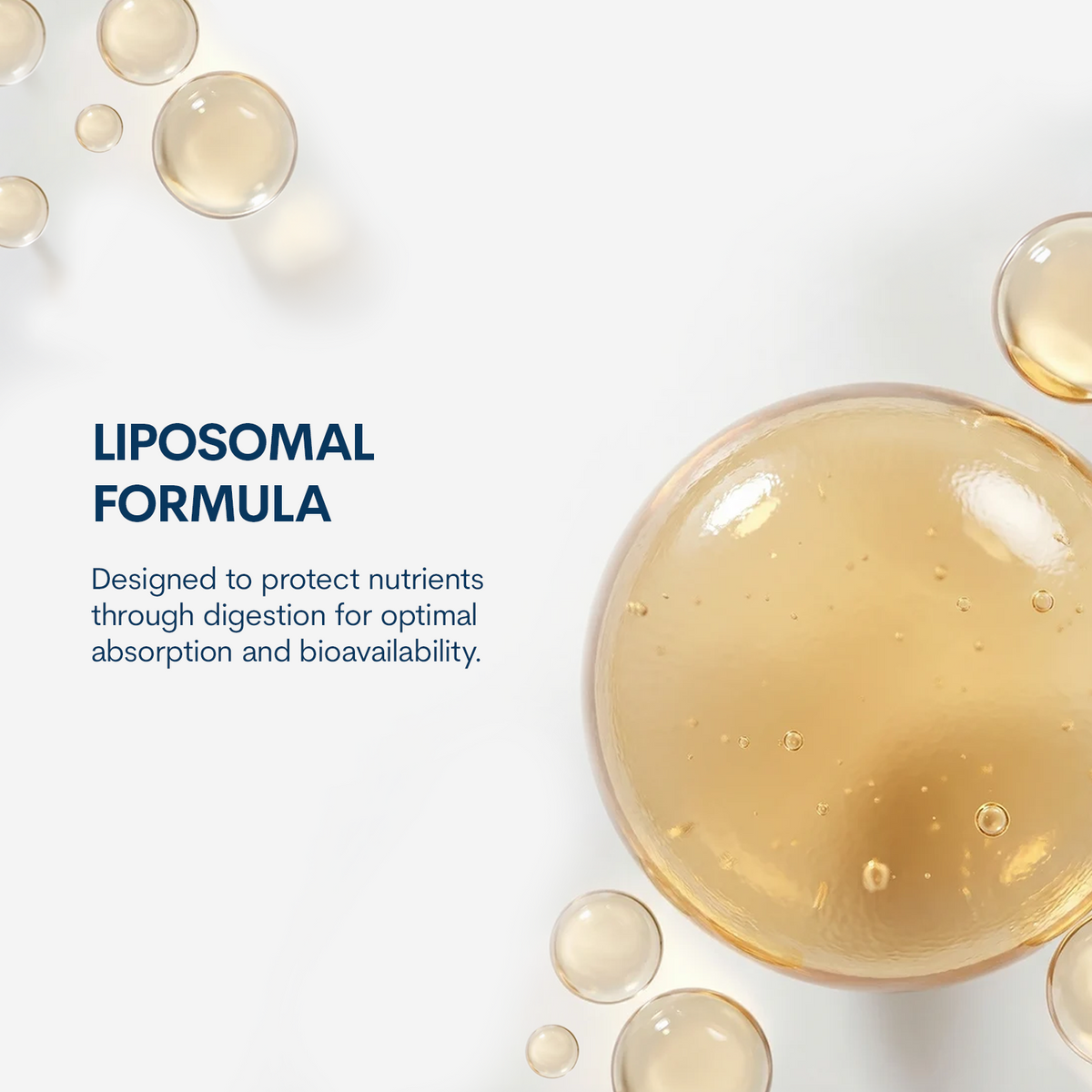 Liposomal Glutathione - Softgels (60 Count / 30 Servings)